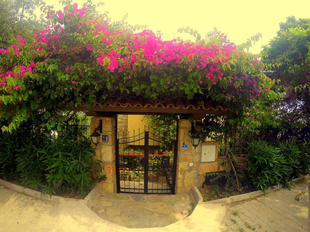 Villa Cosy Yalıkavak Exterior foto